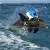 Extremely Extreme Sports 3
