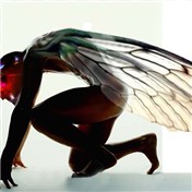 The Mothman — PeterAAAWelch