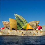 Melon — PeterAAAWelch