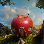 Edible Architecture 12
