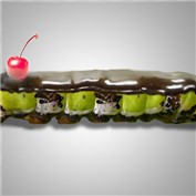 green worm eclair — navashree
