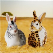 Bunnies — IMRxxzS
