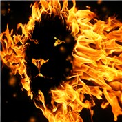 lion — okram2711