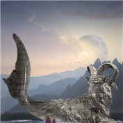 capricorn — timboyle
