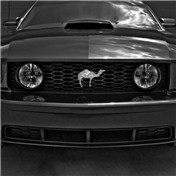 Mustang? — fix8ed