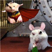 SuperHam LexHamster — gqbabydragon