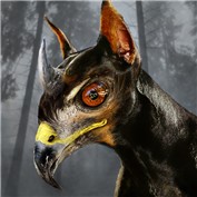 Chimaera 10