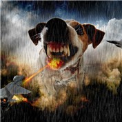 Giant Dog — douglaseralldo