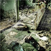 Chernobyl Spider — Tch0rt