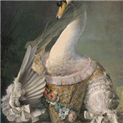 Animal Renaissance 10