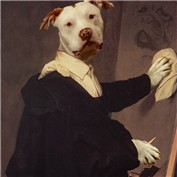 Dog — Mandrak
