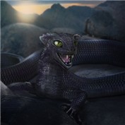Tatzelwurm — LunarRose