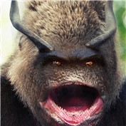 evil gorilla — kankiorcheto