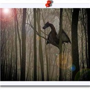 Devil of New Jersey — Photogerm