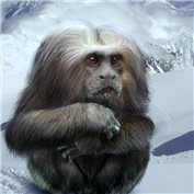 Monster Hoaxes 2
