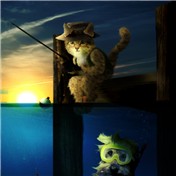 Cat and Dog Fishing — fenderguitars