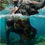 Partial Submersion 5