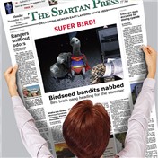 Super Bird! — lroger01