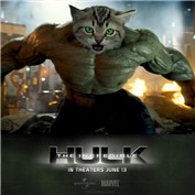 Hulk Gone Kitten — woodey172