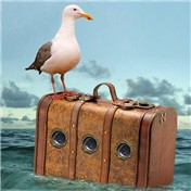 Nautical Insanity 8