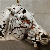 Parthenon horse — castiza