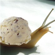 Ice cream Snail — rodriki