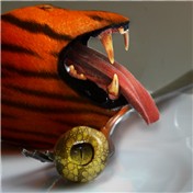 Freaky Fruit — mikerotten