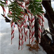 Ornamentation 4