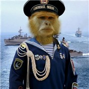 Sovi-ape Marin — CheapShotInc