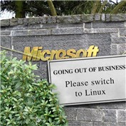 Please Switch — cmumiddle