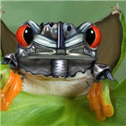 Robo Frog — jkinney768