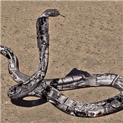 Cybersnake — cyrken