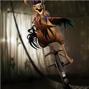 Animal Clowns 3