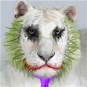 "Why so serious" tiger — southernmclovin