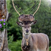 Bolon Deer — TheMrBee
