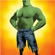 Mr. Incredible Hulk — zsomeone