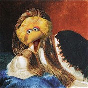 Big Bird!! — mimsy57