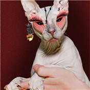 Hairless Punk — lroger01