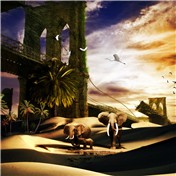 Extinction