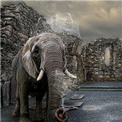 Tobacco Swappo 4