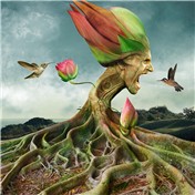 Floral Swap 7