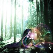 Magic forest — leowish