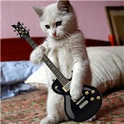 Kitty Rock! — anavrin2009