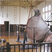 Olympic Hippo — bicyclewilli