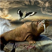 Chop A Hippo