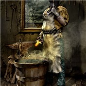 Occupational Evolution
