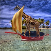 Sailing Away — snakebit
