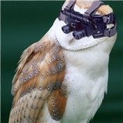 Night Owl — munitt