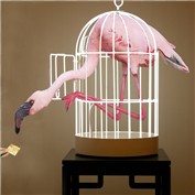 Polly-Wanna-Cracker — PeterAAAWelch
