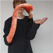 Feeding an Arm — WillMac